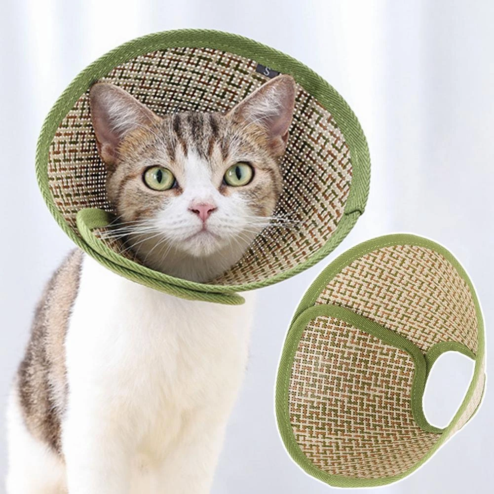 Cat Cone Collar Petco atelieryuwa.ciao.jp