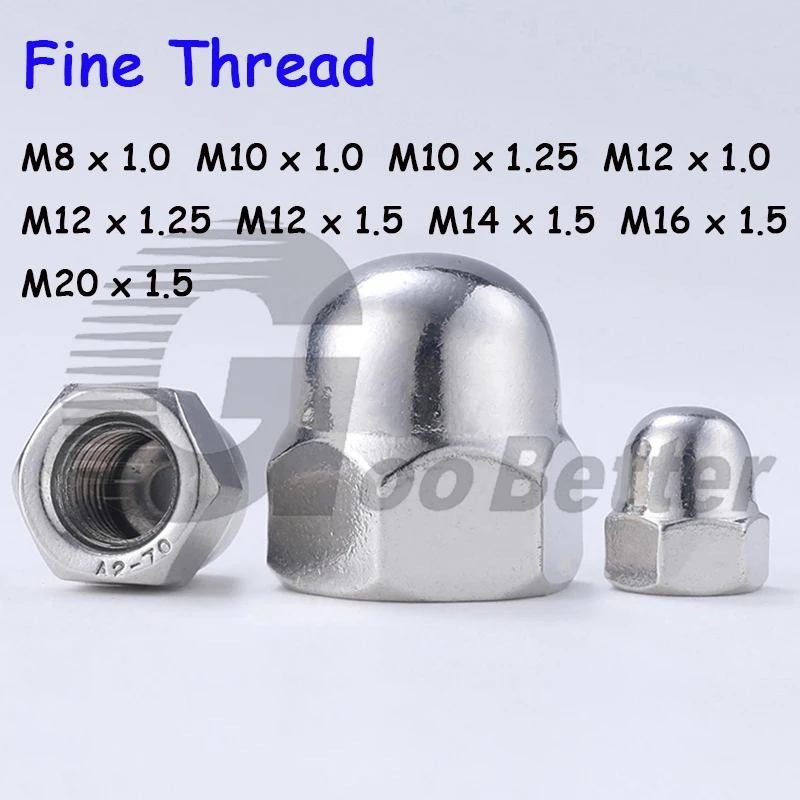 스테인리스 스틸 장식 캡 블라인드 너트 캡 커버, 미세 스레드 도토리 캡, A2 304, M8, M10, M12, M14, M16, M20