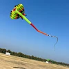 12.5M 3D Soft Ray Kite 9 Air Inlet Inflatable Large Animal Beach Professional Kites Easy To Fly Anti Tear Packaging Bag Cometas 4