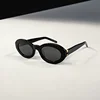 Best-Selling Women's Sunglasses Red Book Oval Frame SLM136 High-End Fashionable Vintage Lens UV Protection Glasses 3