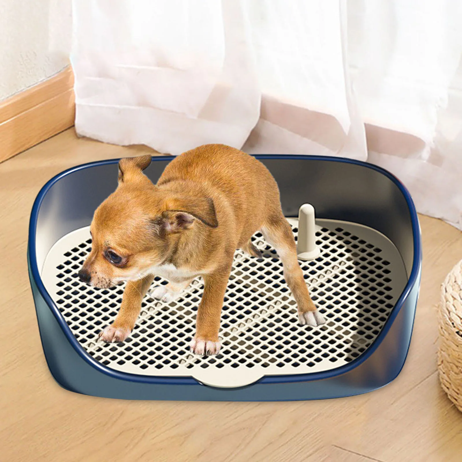 Caixa De Transporte Para Cães - Dobrável E Respirável Com Tapete
