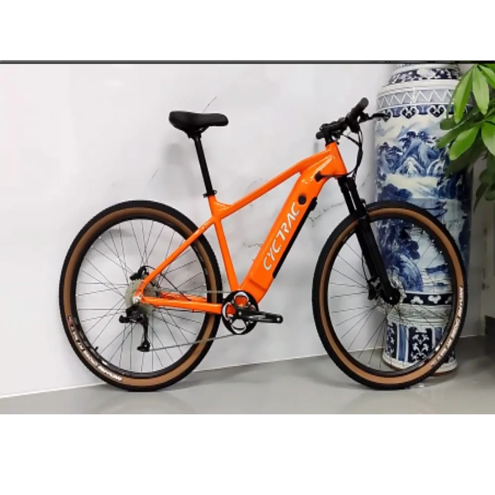 

2022New Design TWITTER Ebike E300 Alu Alloy Electric Bikes eMTB 48V 500W Hub Motor Electric Mountain Bike with Removable Battery