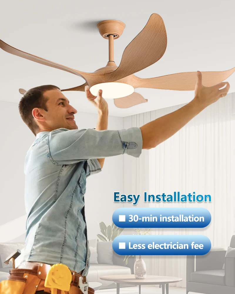 Energy Efficient Ceiling Fan