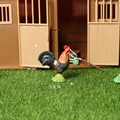 Rooster -7