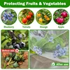 Nylon Plant Protection Netting Mesh Bag Cover for Fruit Vegetable Tree Strawberry Grapes Pest Control Anti-Bird Gardening Tools 6