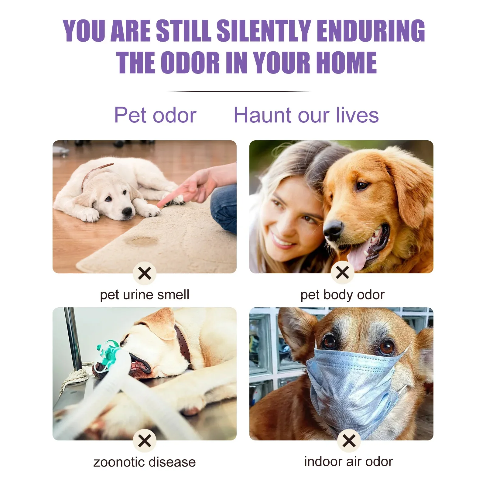 Pet Deodorant Spray Dog Cat Body Odor Feces Cleaning Deodorant Indoor Fresh