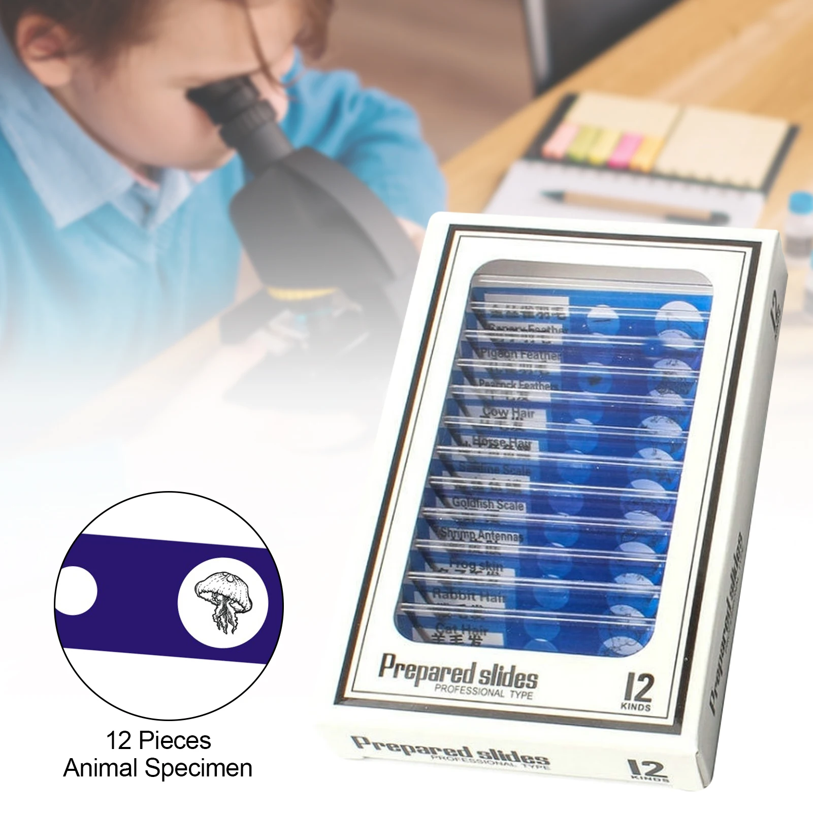 Oculare Micrometrico Microscopio Oculare Per Microscopio Con Reticolo Di Misura - Vetro Da 19 Mm E 10 Mm/100 Divisioni, Ideale Per Laboratorio Micrometro Per Microscopio