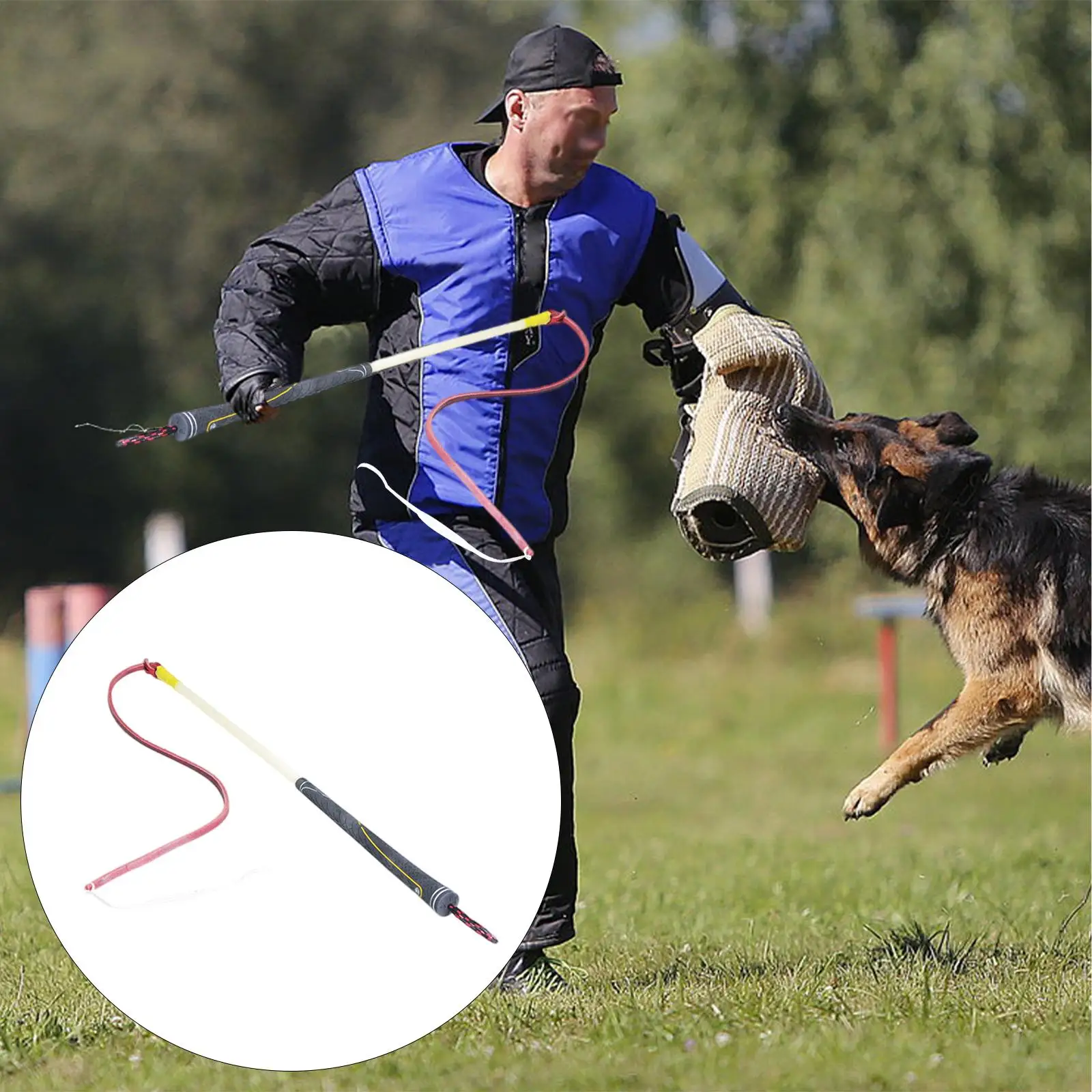 Professional Dog Training Whip Aggressive Pets Exercise Stick Equipment