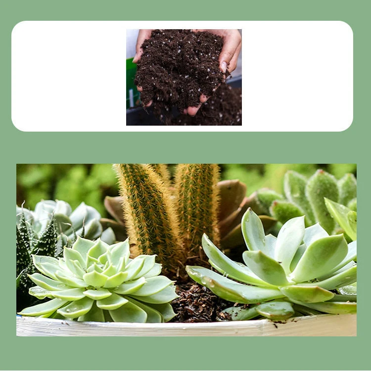 Perlite Pellet Configure Nutrient Soil Plant Nursery Breathable Loose Soil Substrate 50g/250g/500g Garden Bonsai