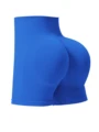 617Rblue