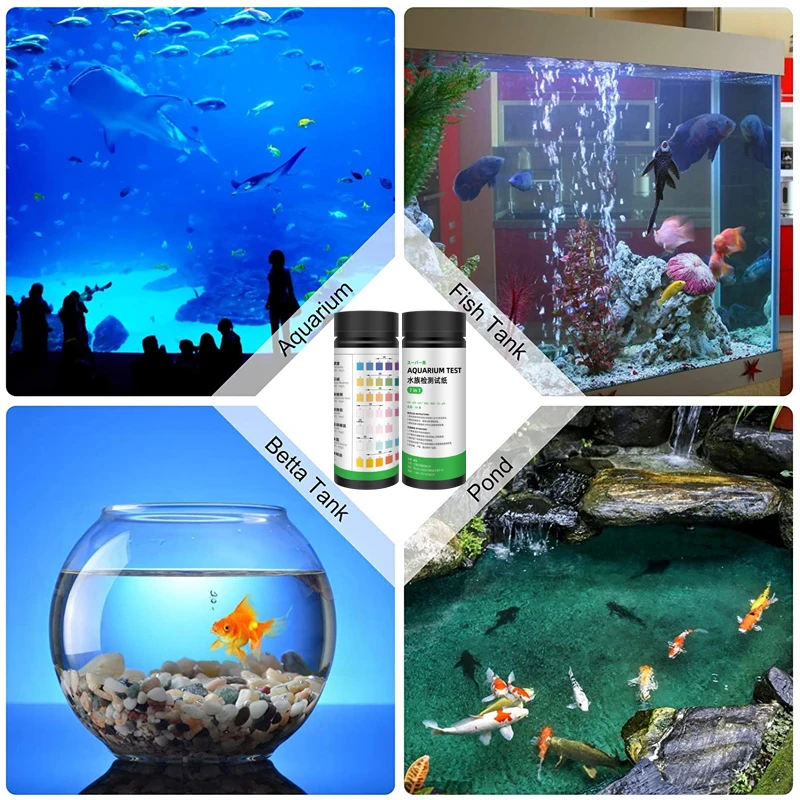 Мутная вода в аквариуме. Вода в аквариуме 7 7. Красивые рыбки для аквариума. Вода в аквариуме помутнела. Наполнение аквариума.