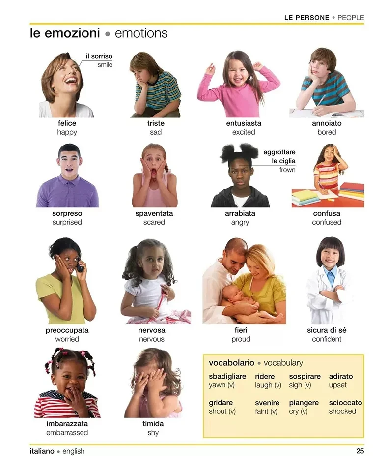 Рисунок 4 - DK итальянский английский двуязычный