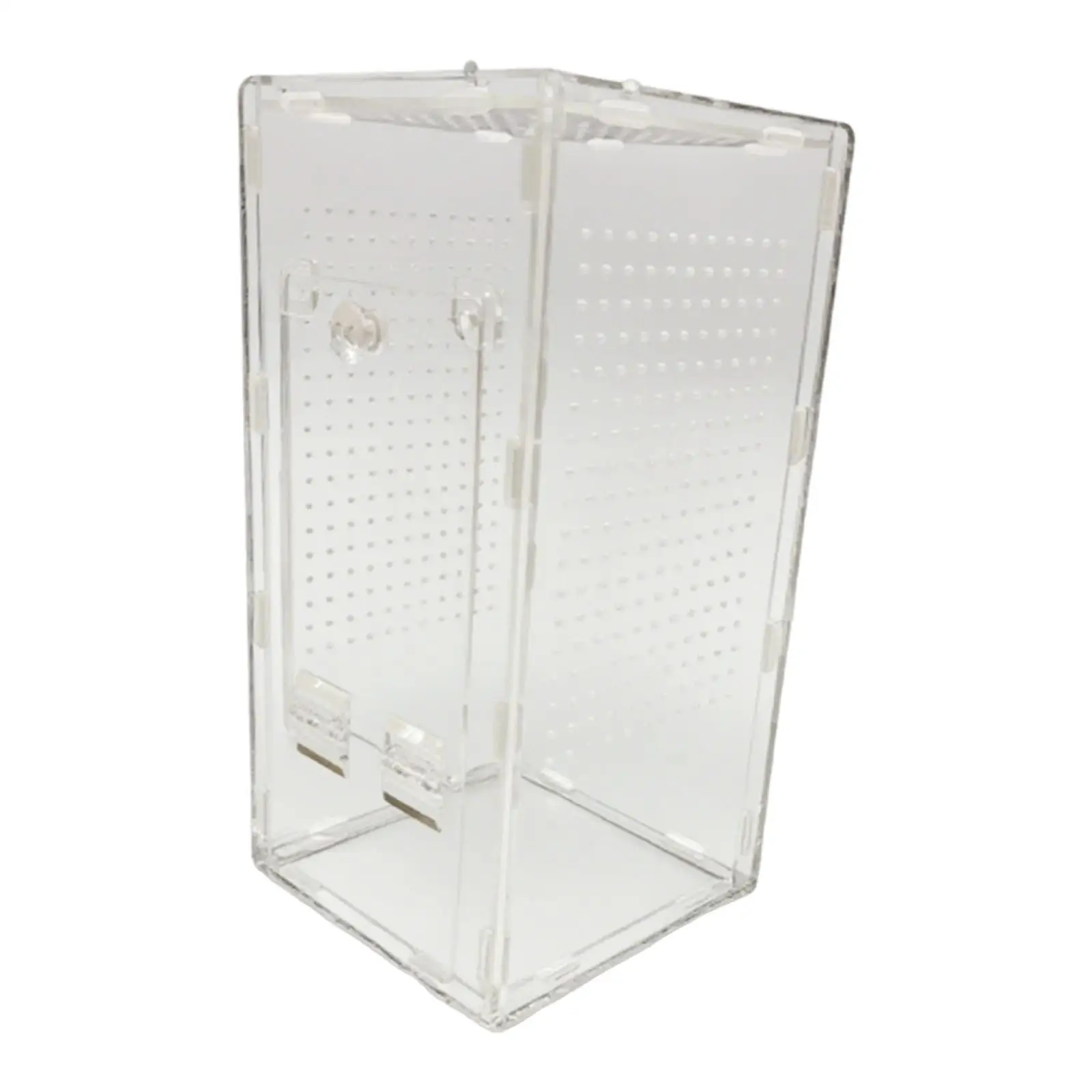 Acrylic Mantises Terrarium Clear Reptile Cage Vertical Habitat Container for Spiders and Pets