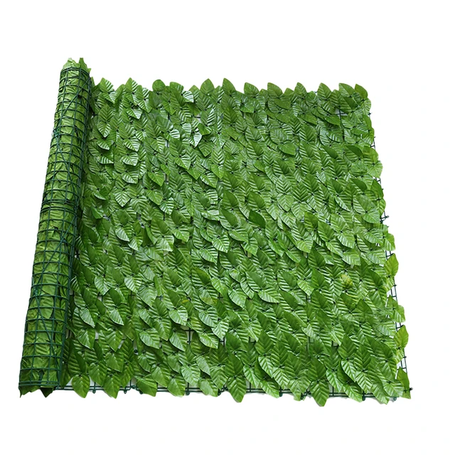 Color Fruit Leaves