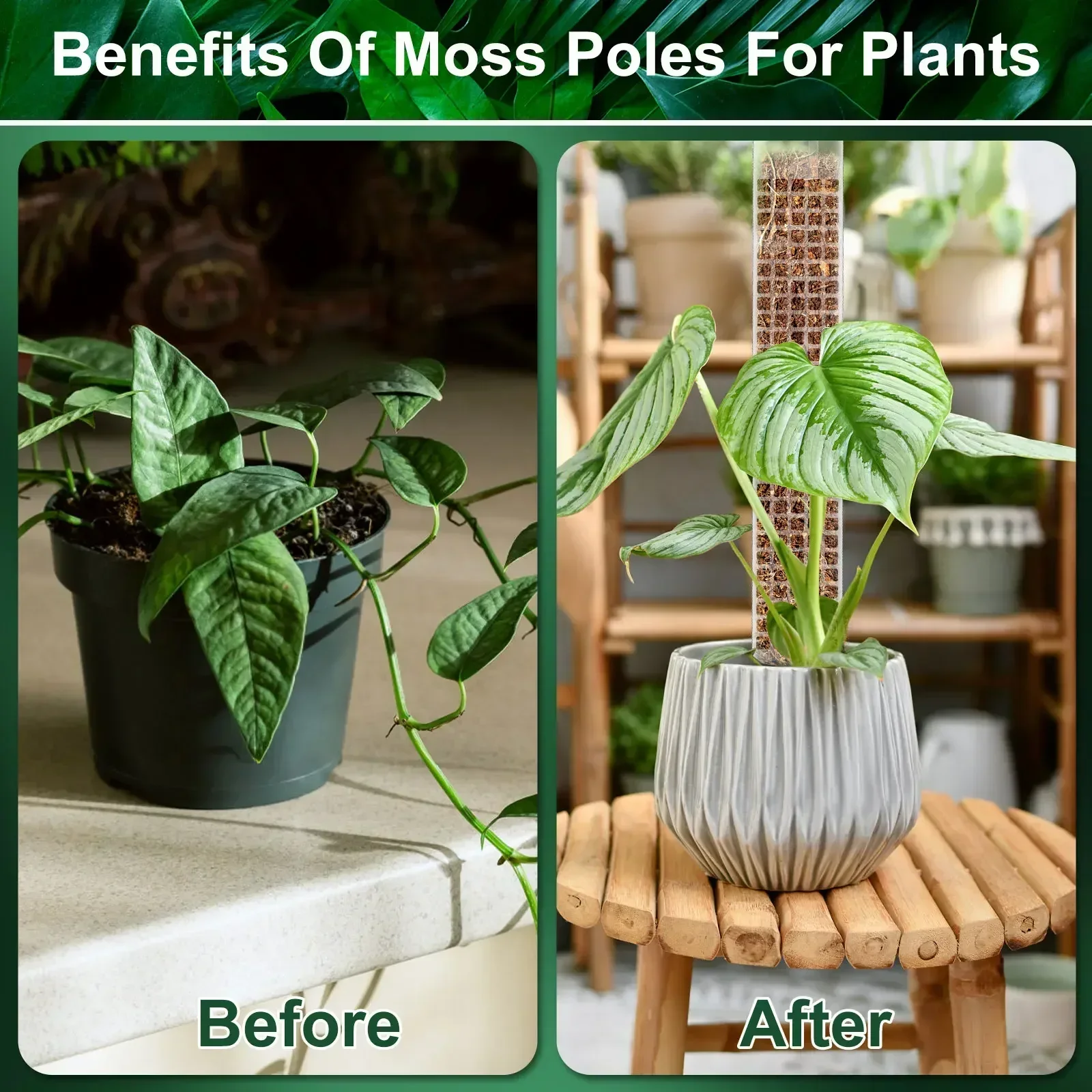 Plastic Plant Supports 24 Inch Plastic Moss Pole for Plants Monstera Climbing Plants Support Indoor with Sphagnum Moss