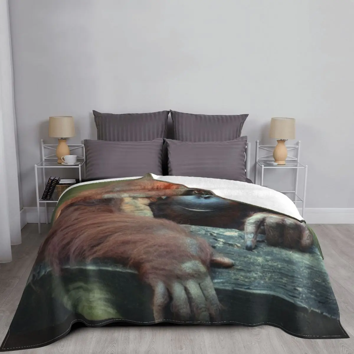 ������ź ������ ���,  ���, ���� ���