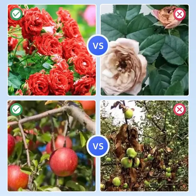 Kerti Növény Gyors Virágot Elősegítő Tápanyag-Oldat Beltéri Háztartás 50 Ml Virágcsökkentő Lombműtét - Image 2