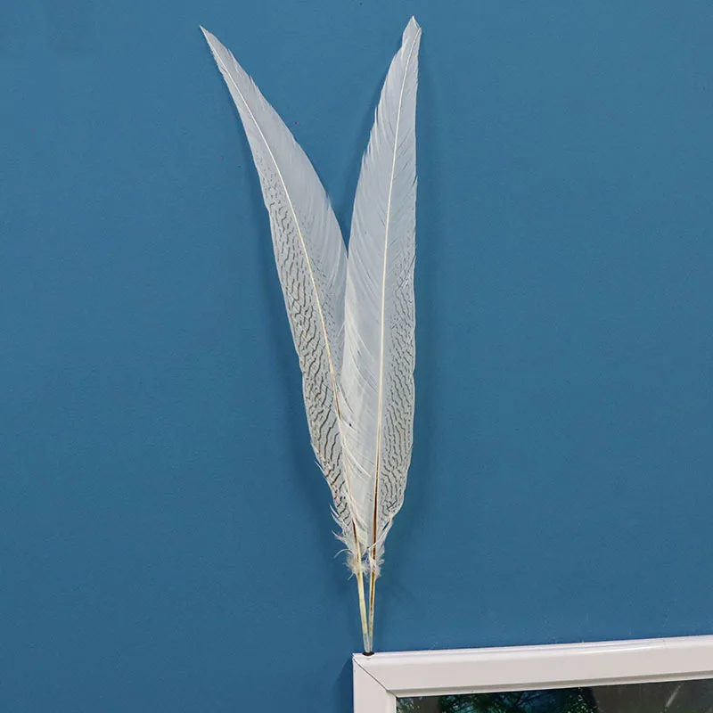 

100PC 55-60CM Natural White Silver Chicken Pheasant Tail Feathers for Crafts Making Accessories Carnival Party Performance Plume