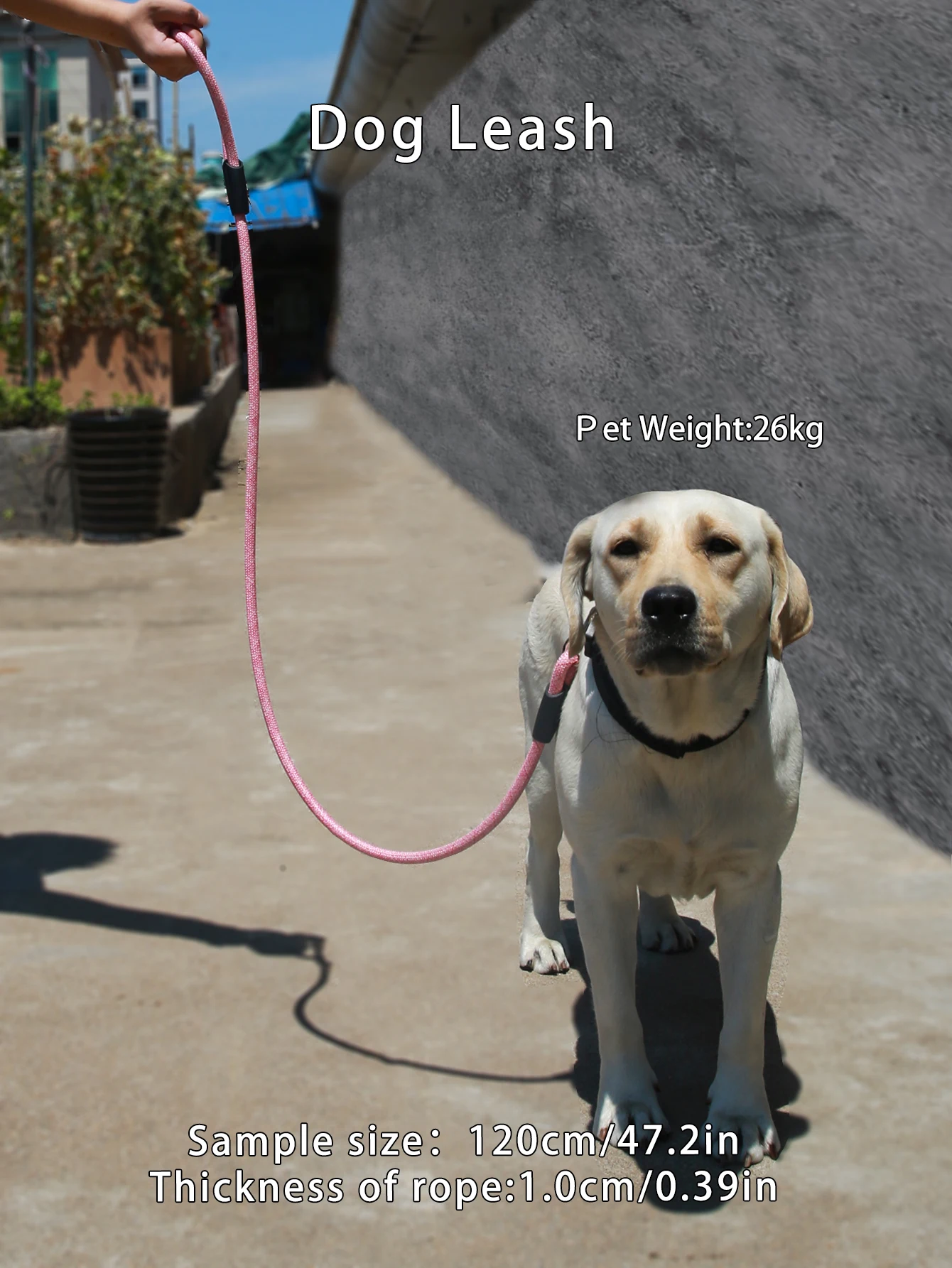 Pet Fine Grain Round Rope Leash Medium And Large Dog Leash 1PC dog leash,pet accessories