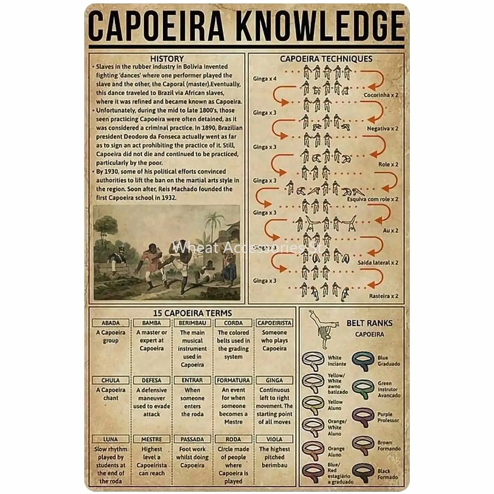 

Capoeira Knowledge Metal Signs Brazilian War Dance Anatomy Posters Wall Decor Dance Lovers Home Decor Bedroom Decor Plaque