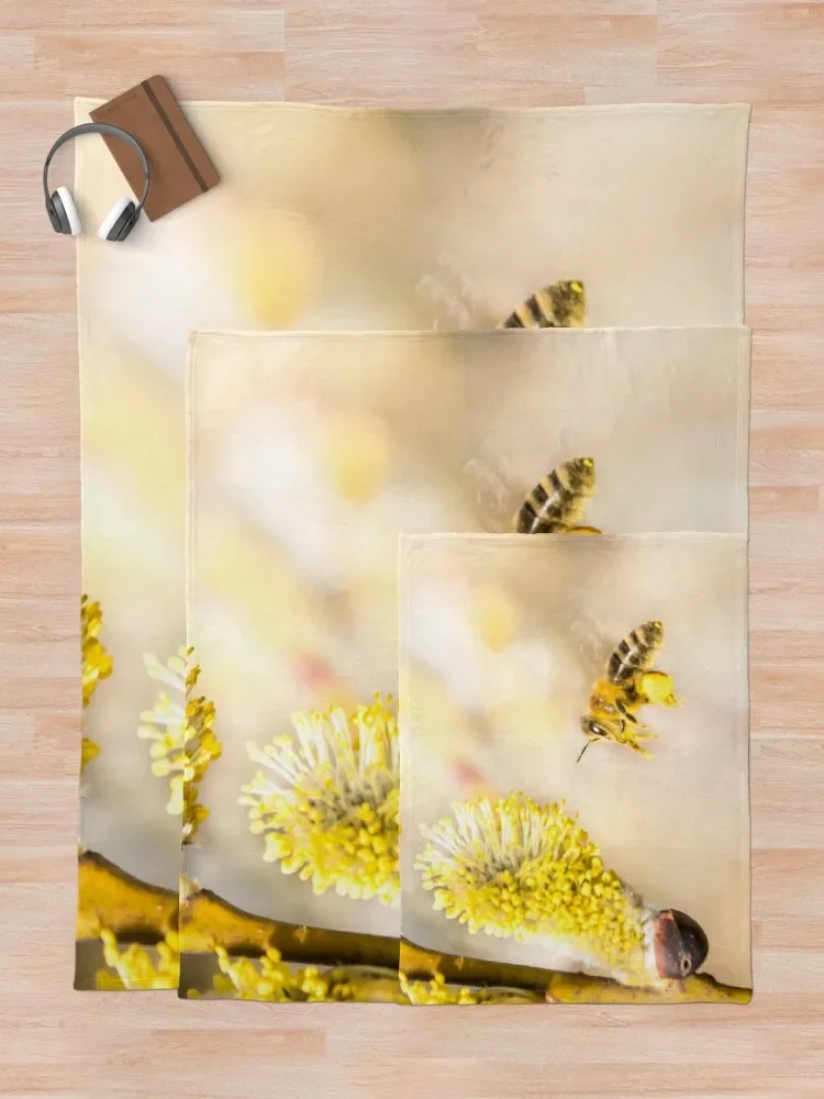 �ܹ� ������ ��� ���� ���� ħ�� Ŀ��, �ε巯�� ħ��, �ʴ��� ������ ���