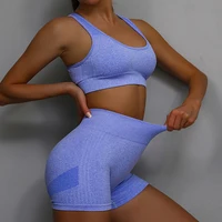 2 Pcs Yoga Set Women Hollow Back Sports Bra+Hip Lifting Sports Shorts Workout Set Seamless Fitness Gym Set Sportswear Tracksuit 1