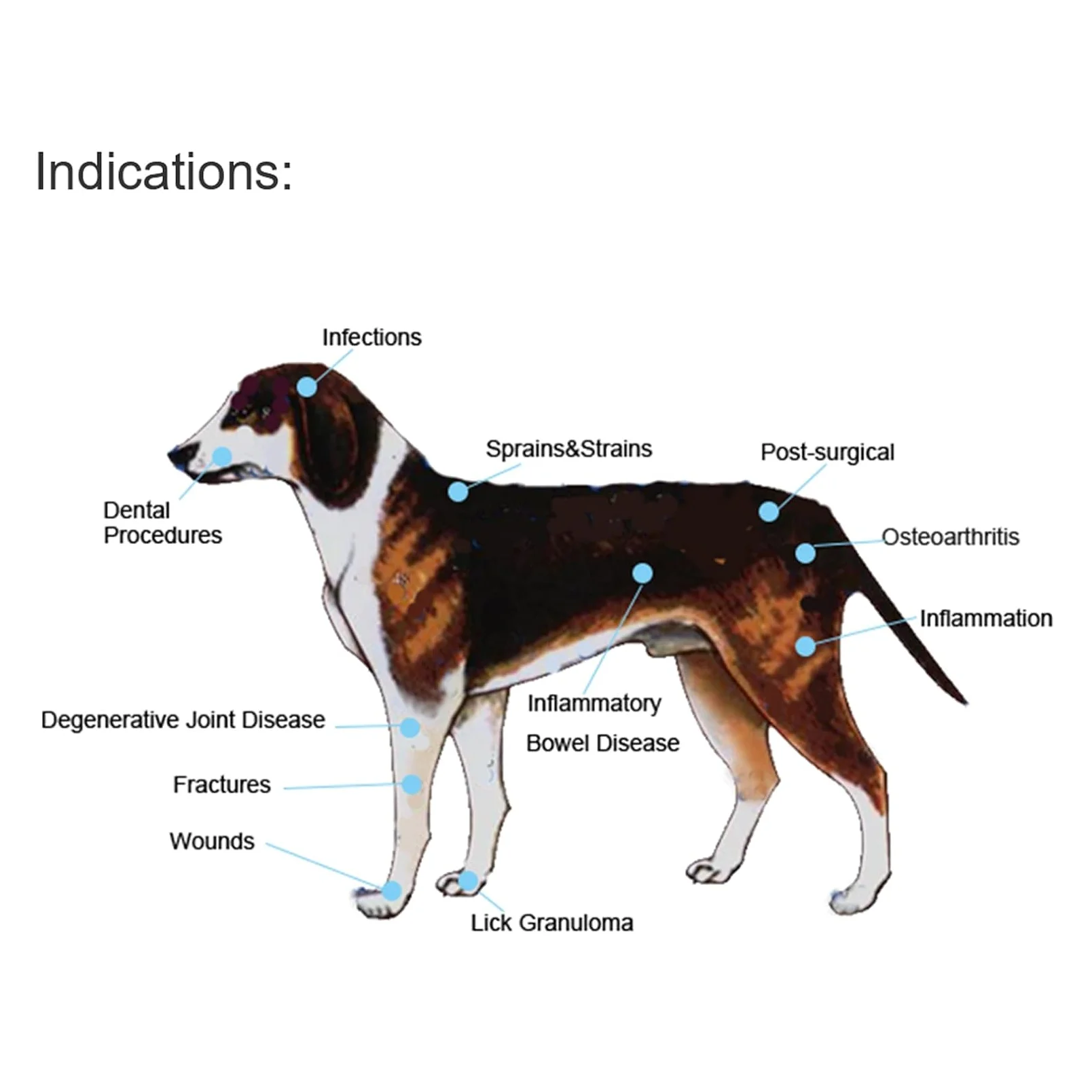 Red Light Therapy for Pets Vet Device Handheld Infrared Light with 25W wavelength 660nm Pain Relief Speed Up Wound Recovery&Skin