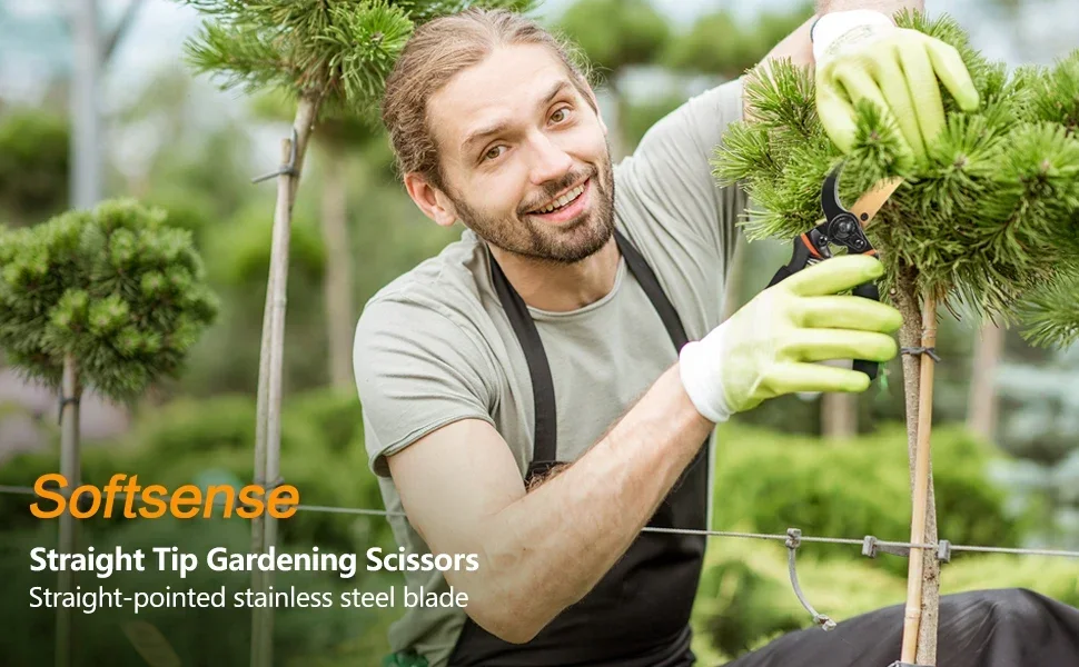 pruning shears