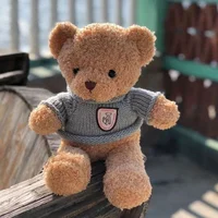 30cm40cm Bear Plush Toys Toys Cute Bear Dress Up Toys Photography Accessories Brithday Gift 1