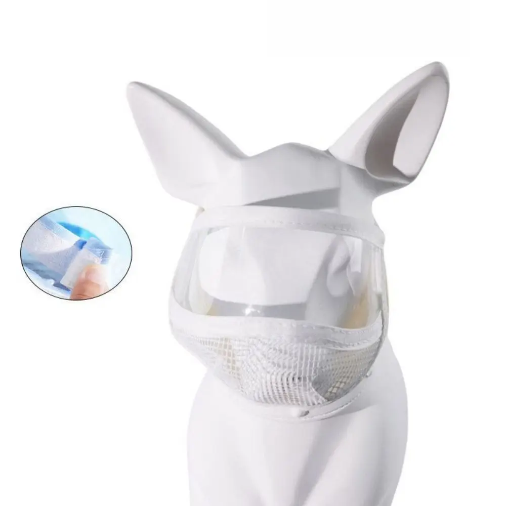 투명한 고양이 입마개 휴대용 새끼 고양이 미용 마스크 넓은 시야 확보 편안한 ..
