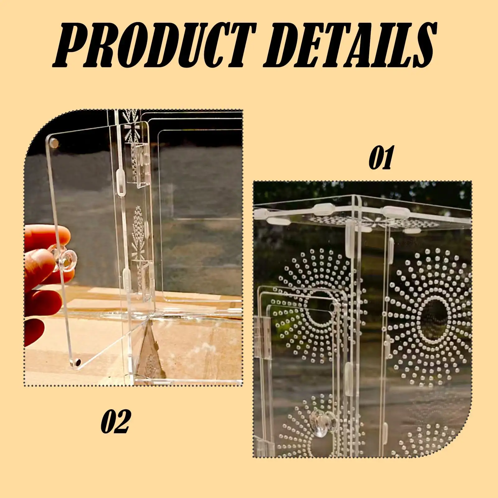 Acrylic Habitat Enclosure for Mantis Jumping Spider 15x15x30cm Accessory Quick Installation Multifunctional Transparent