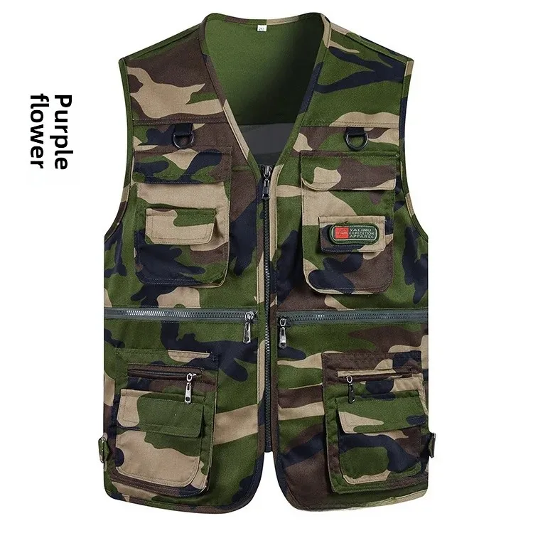 Purple (spring and autumn)