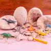 Dinosaur Eggs Dig Kit Exquisite Vivid Appearance Archeological Dino Egg Excavation Kit for Children 1