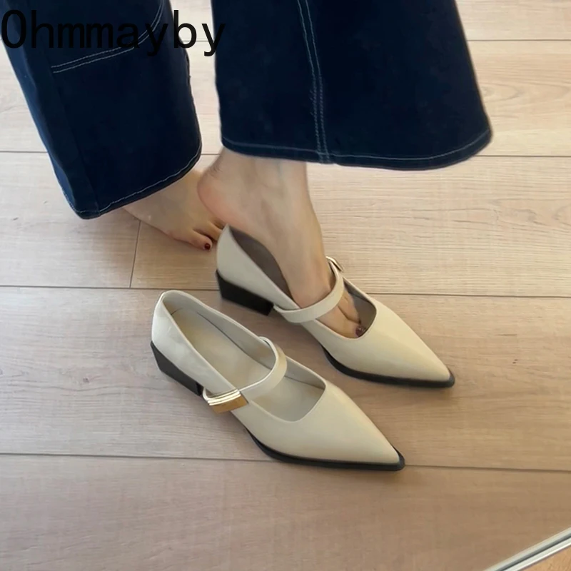 Pointed Toe Low Heel Women Mary Jane Shoes Fashion Shallow Buckle Shoes Ladies Elegant Dress Street Style Shoes 3