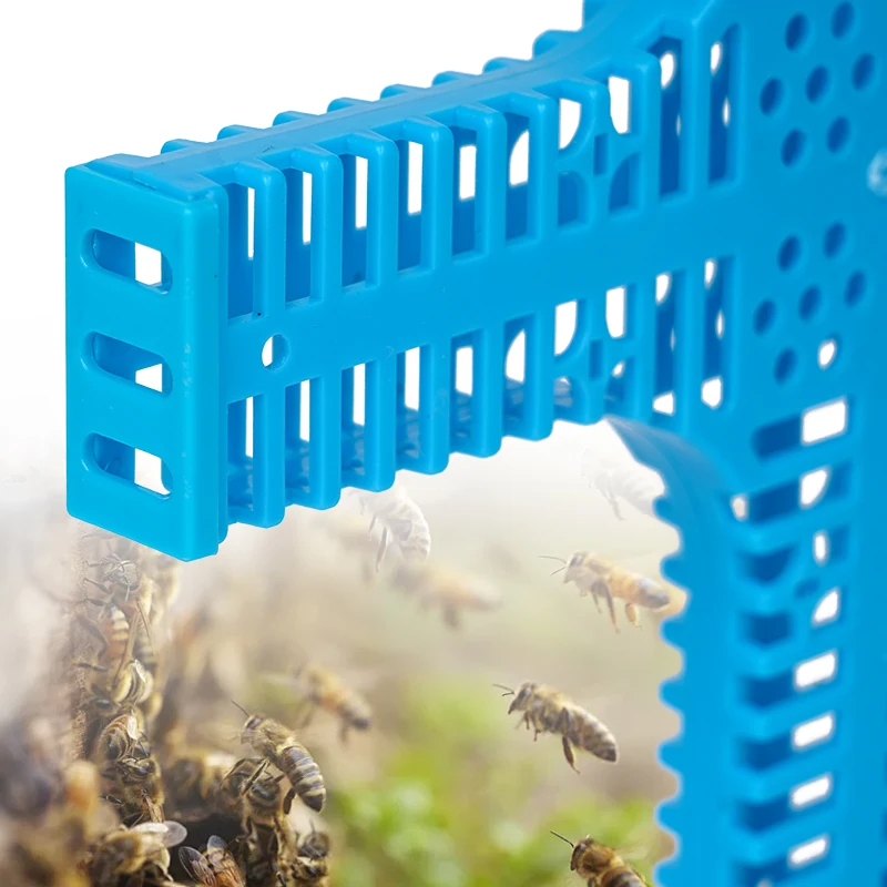 New Beekeeping Plastic Queen Cage Bee Cross Shaped Queen Bee Transfer Cage Beekeeper Apiculture Catching Catcher Equipment Tools 4
