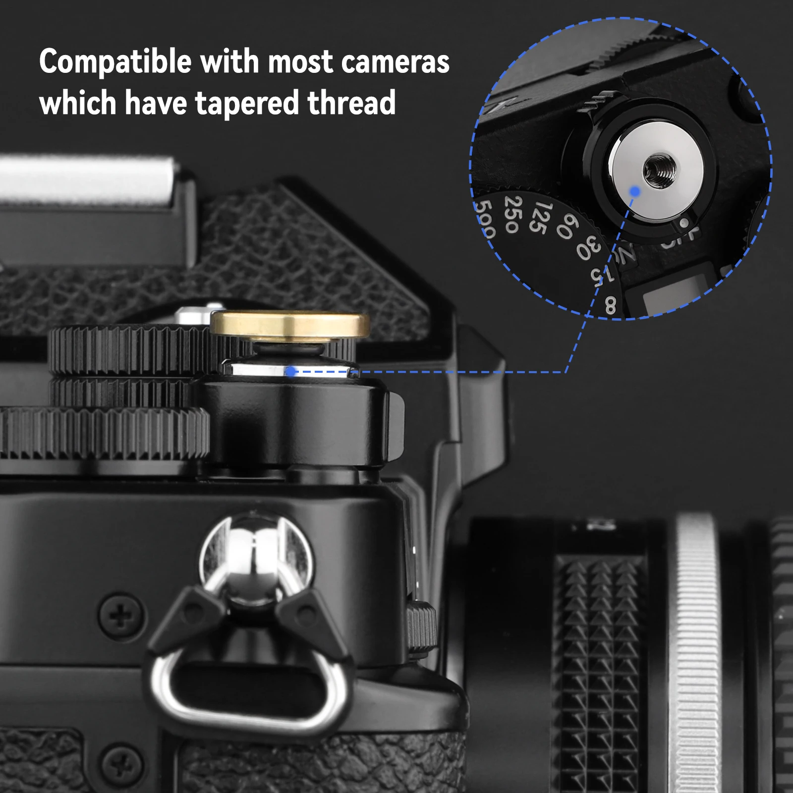 dsc-products