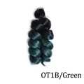 OT1B Green