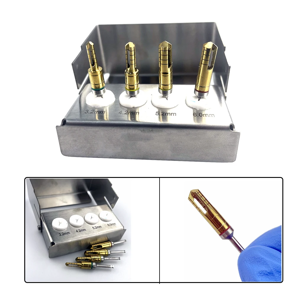 

4Pcs Dental Implant Stainless Steel Bone Drill Dental Self Grinding Bone Meal Drill for Bone Collector Kit Dentist Instrument