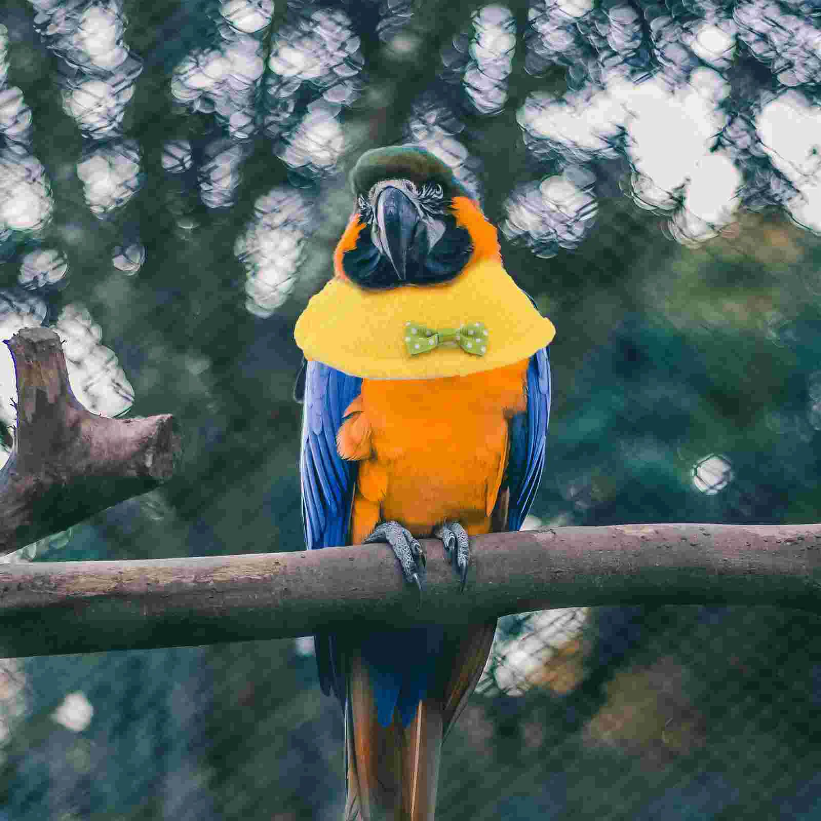 2 Pcs Bird Bite Collar Protective Cloak Pet Recovery Snack Neckband Parrot Linen Supplies