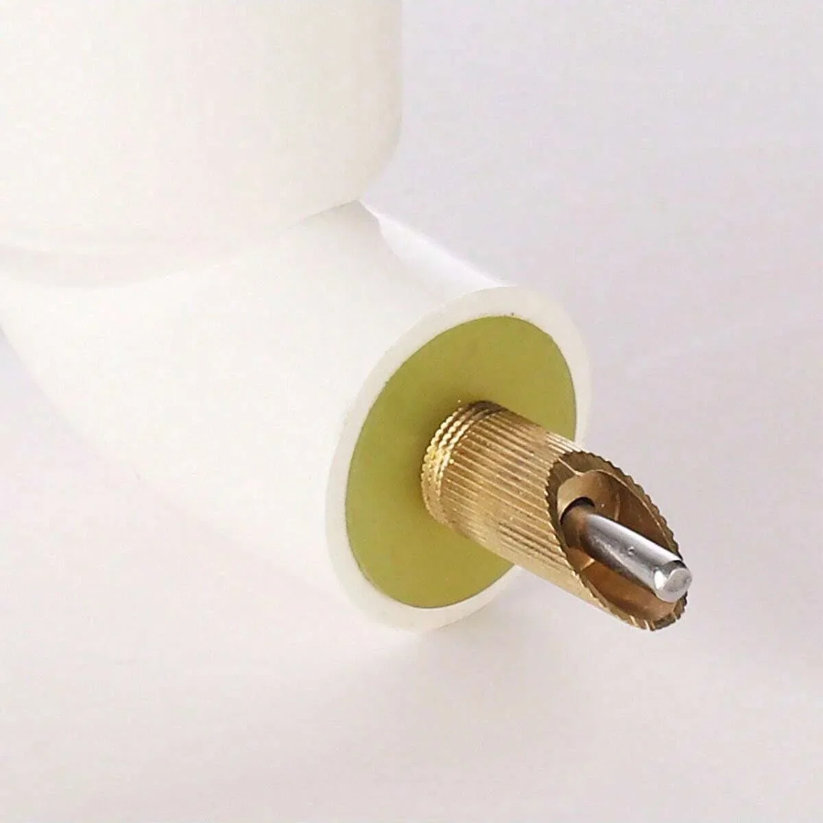 Parrot Automatic Water Dispenser Equipment For Birds
