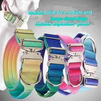 Dog Collar 1