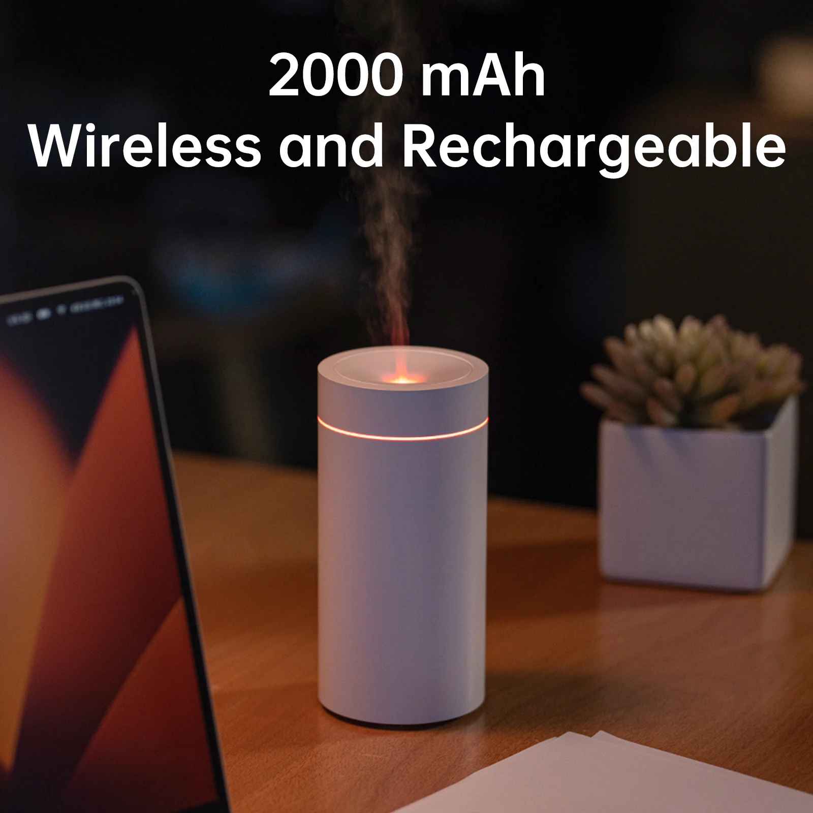 Рисунок 5 - Автомобильный диффузор Vissko