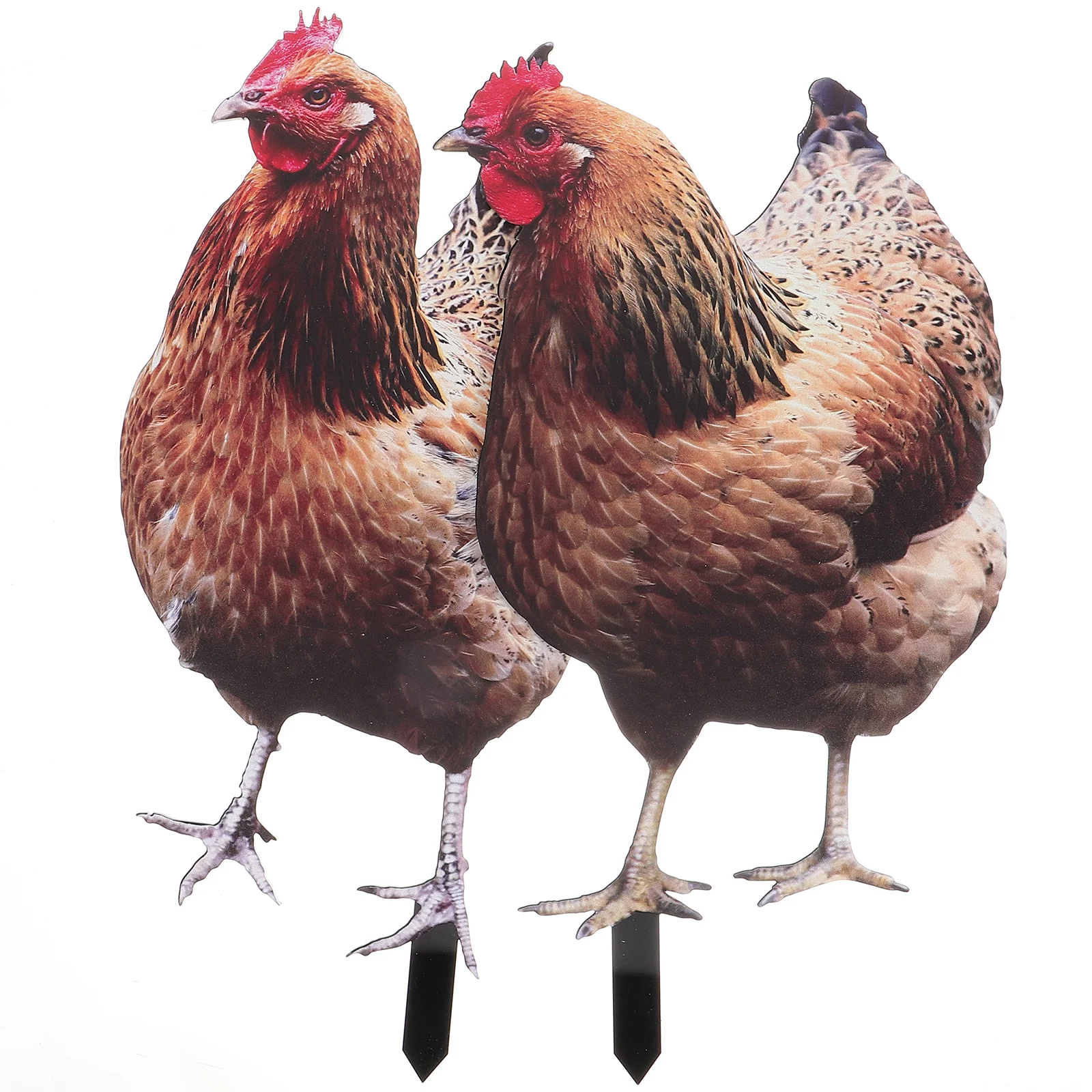 

2 Pcs Chicken Garden Decoration Yard Sign Lawn Ornament Outdoor Yards Stake