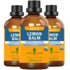 LEMON BALM GLYCERITE 1 OZ:01504 1