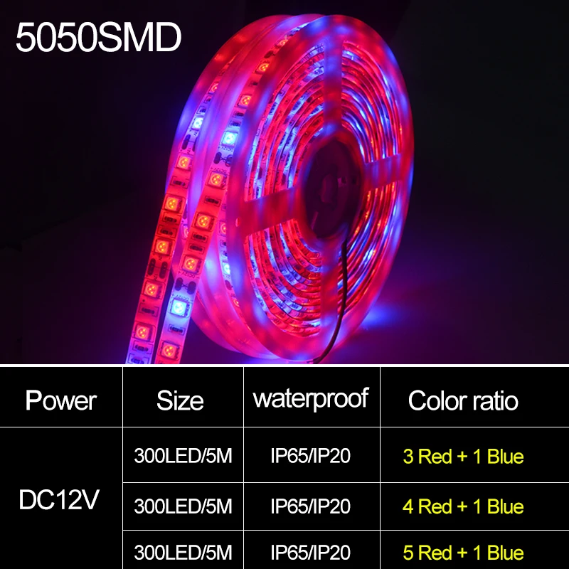 Tira de lâmpada LED Phyto 50SMD, Espectro completo cresce luzes, Lâmpadas impermeáveis para vegetais, flor, mudas, barraca, 5m, DC 12V