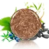 10G Natural Organic Polygonum Essence Hair Darkening Shampoo Bar Soap Mild Formula Hair Shampoo Gray Hair Reverse Cleansing 3