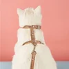 Pet Cat Adjustable Chest Strap Anti-escape Small Medium Dog Cat Harness Leash Set Breathable Reflective Chest Strap Pet Supplies