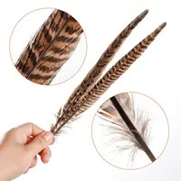 25-30cm Pheasant Tail Feathers 10Pcs 3