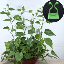 

50Pcs Green Dill Plant Climbing Wall Fixer Gardening Household Indoor Decor Buckle Climbing Vine Plant Wall Hook Fixing Clip