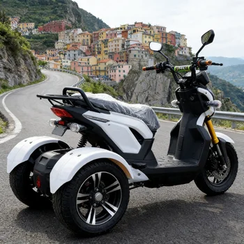 Triciclo Elettrico Fuoristrada per Adulti |   Potente Triciclo Elettrico a 3 Ruote e Triciclo Elettrico Economico Alimentato da Batteria 70V